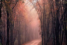 20-21賽季意甲聯賽第3輪比賽集錦.