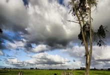 九州体育官方app:内马尔:离开巴萨前梅西说他会让我成为世界最佳.