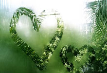 CBA:笑傲“齐鲁德比” 山东高速男篮再胜青岛男篮.