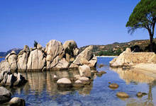 九州体育官方app:韩K1联全北现代VS金泉尚武预测分析:全北新帅拿下首胜,本场主场联赛首秀.